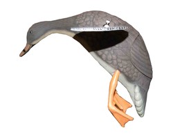 Crazy Decoy Kumandalı Motorlu Dişi Mühre - 2