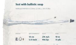 HORNET 5,5MM .22 CAL - 2
